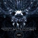 XS - Realm Of The Dark Elves