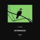 P.Young - Undefined