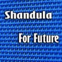 Shandula - Like A Bird (Original Mix)