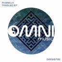 Parhelia - Quantum Gravity