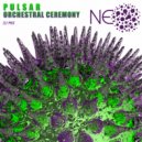 P U L S A R - Orchestral Ceremony
