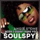 Angie Stone - Wish I Didn't Miss You