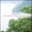 Mindfulness Auditory Stimulation Partner - Lapis Lazuli & Joy