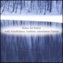 Mindfulness Auditory Stimulation Partner - Michelangelo & Peace of Mind