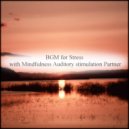 Mindfulness Auditory Stimulation Partner - Limestone & Healing