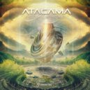 Atacama - Somewhere