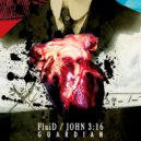 John 3:16 - Guardian