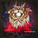 Hyper On Experience - Disturbance