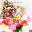 VINNCI - Echoes of Jah