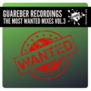 Thomas Solvert, Rob Phillips feat. Ann Shine - This Love Never Ends (Fabio Campos & Andre Grossi Remix)