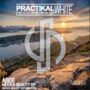 Abide - Hidden Beauty (Original Mix)