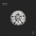 Noaria - Nocturne (Original Mix)
