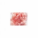 Mindfulness Healing BGM Project - Diamond & Healing (Original Mix)