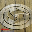Oldfrukt - Successful Flight (Original Mix)
