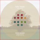 Tobe Multe - Birds In Birt (Original Mix)