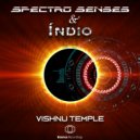 Phanatic - Radiance (Spectro Senses & Indio (Trance) Remix)