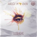 Hallex M Feat. QVLN - Lloraras