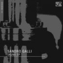 Sandro Galli - Polar Rotation (Original Mix)