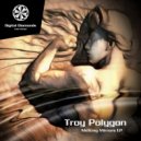 Troy Polygon - Onkalo Express (Original Mix)