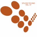 Richard V - Spirit (Original Mix)