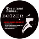 Bøïzer - Science Is Under Control