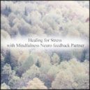 Mindfulness Neuro Feedback Partner - Entropy & Freedom