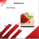 Selalexan - Techno (Original Mix)