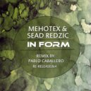 Sead Redzic & Mehotex - In Form