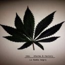 JHGL - Havana Funk