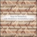 Mindfulness Sustainability Center - Window & Detox