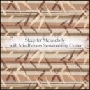 Mindfulness Sustainability Center - Spinoza & Coping Skills (Original Mix)