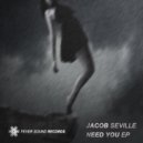 Jacob Seville - Scientifico