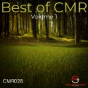 Vova Gridin & MR EFFLIX - Livadia (MR EFFLIX Remix)