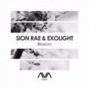 Sion Rae & Exolight - Blossom
