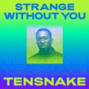 Tensnake Ft. Daramola - Strange Without You
