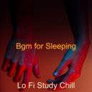Lo Fi Study Chill - Ambiance for Sleeping