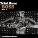 Dj Vulkan - Two Stars
