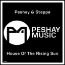 Peshay & Steppa - House Of The Rising Sun