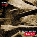 DJ Amadeus - Smash!