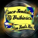 Dj Bribiesca - Cinco Sentidos (Original Mix)