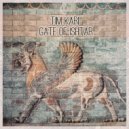 Tim Kari - The Gate of Ishtar