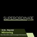 Nae:Tek & R.Hz - Mirroring