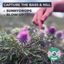 Capture the Bass & Hill - Sunnydrops