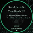 David Schaffer - Please Dondt Nervous