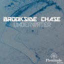 Brookside Chase - Underwater
