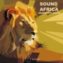 Squerzanti Silvan - Sound for Africa