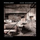 Modular21, Anthochrom - Acid Accident