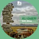 Ali Ghieri - Still Alive