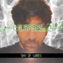 Lapses - Sky of Wires