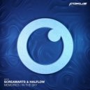 Screamarts & HALFLOW - In the Sky